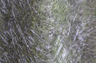 Churchinford fibreglass roof work